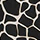 Conquest In Champagne Black - Image 7