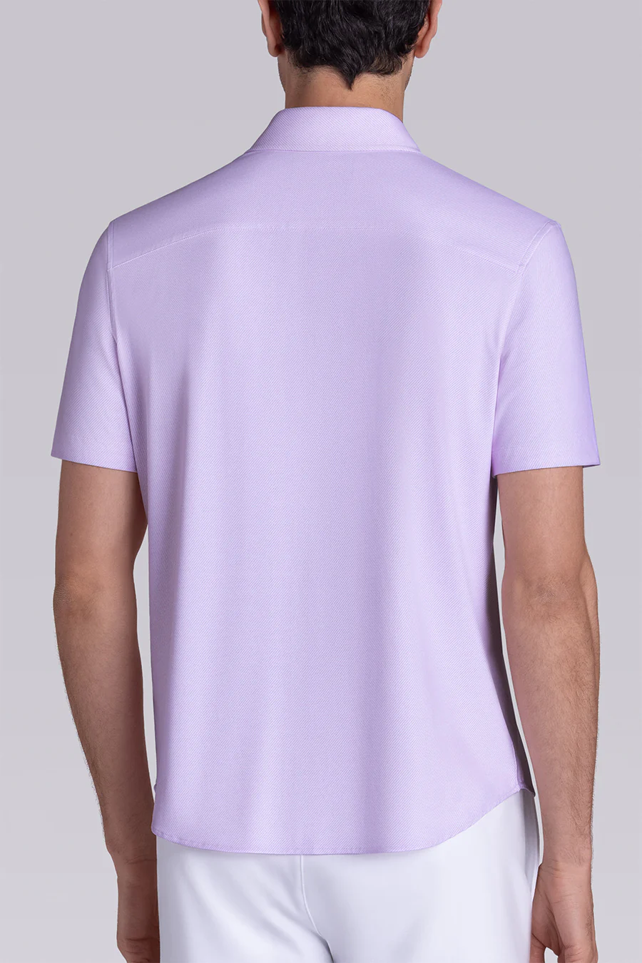 Zest In Lilac - Image 3